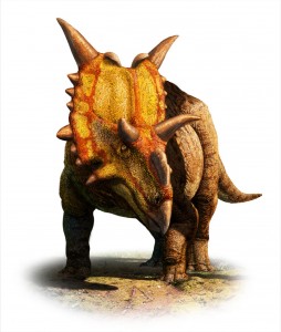 xenoceratops-foremostensis.jpg